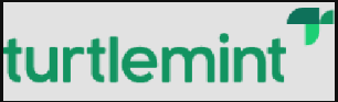 Turtlemint Fintech Solutions Ltd.